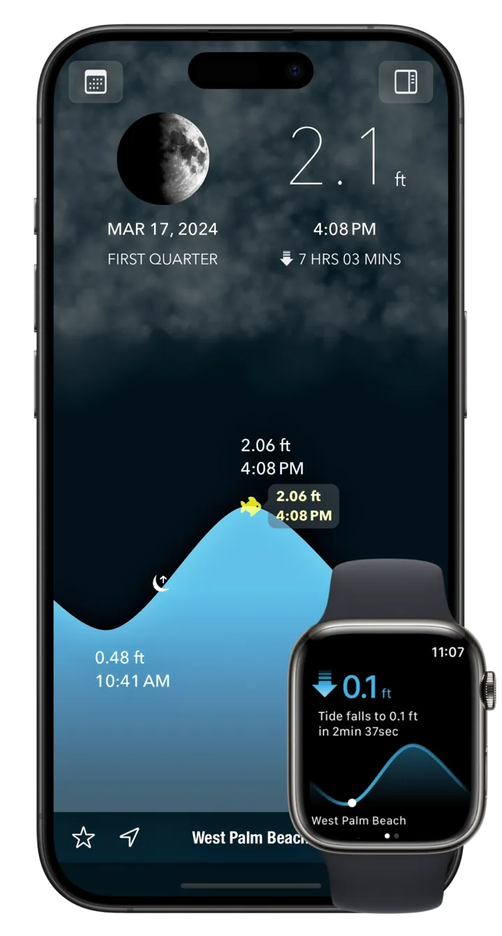 Tide Alert on iPhone and Apple Watch showing the tide curve and the next low tide